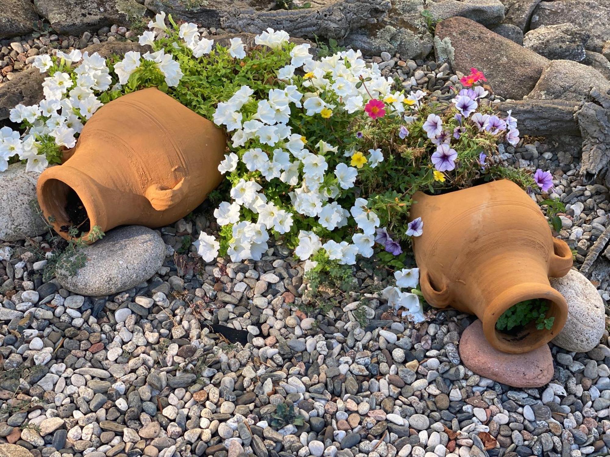 בודוני Villa Peonia מראה חיצוני תמונה